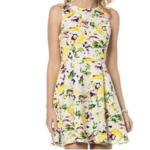 Miss Me Sleeveless Floral Skater Dress White Multi Color Size Medium NWT